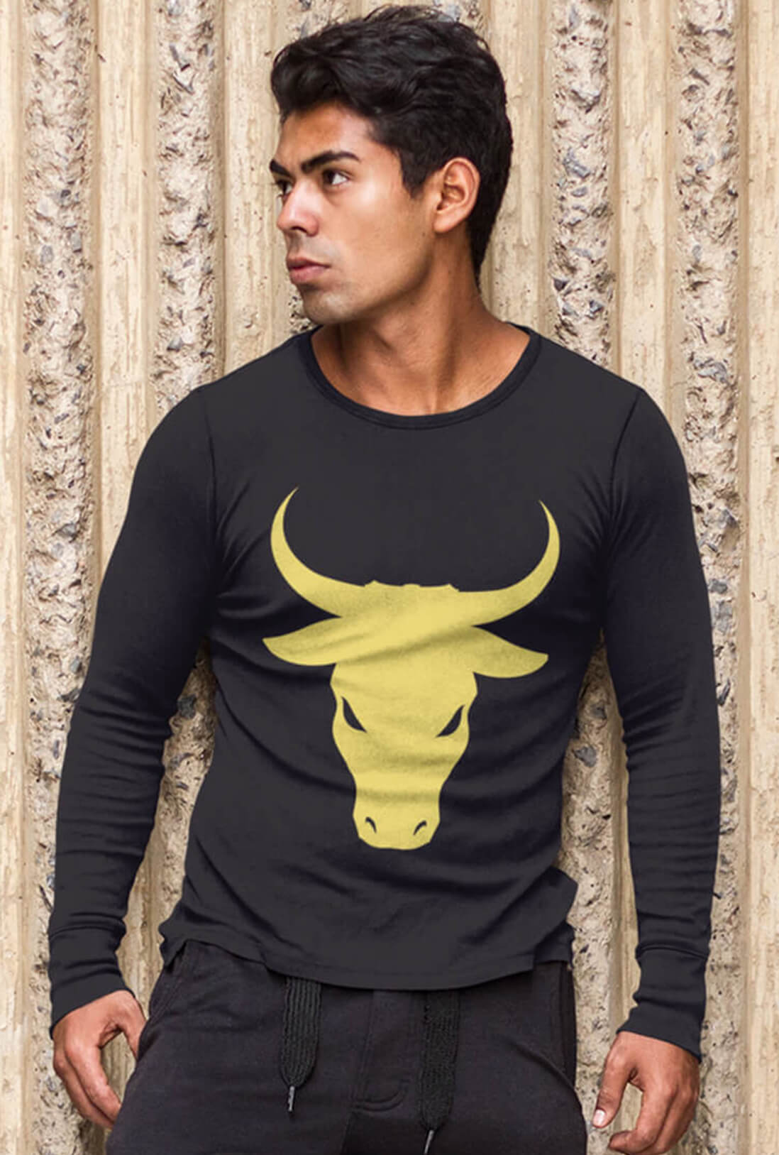 Bull Men's Full Sleeve T-Shirt